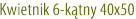 Kwietnik 6-kątny 40x50